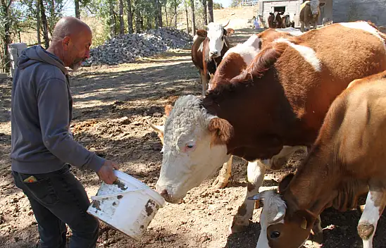 Eski hükümlü Abbas, devlet desteğiyle hayata tutundu