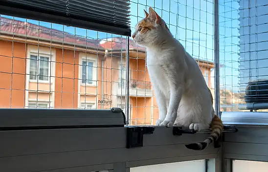 Evcil hayvanları olanlar dikkat!