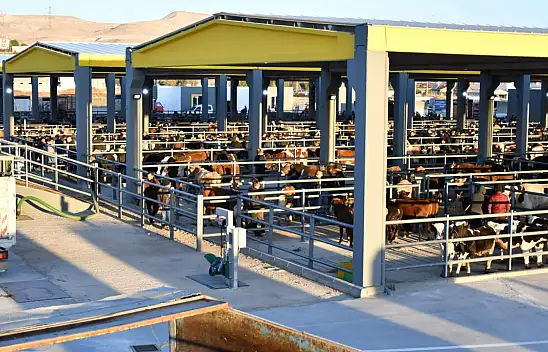 Flaş! Tehlike geçti yeniden açıldı