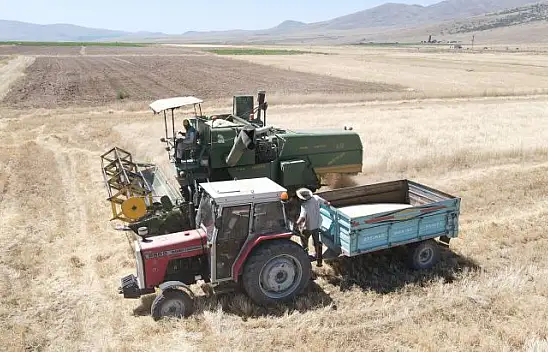 Gacerin hasadı başladı