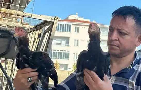 Genç yaşta vefatı ilçeyi yasa boğdu!