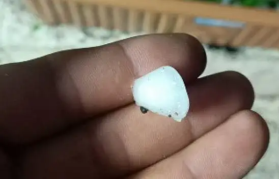 Gesi'yi dolu vurdu! Ağaçlar ve meyveler zarar gördü