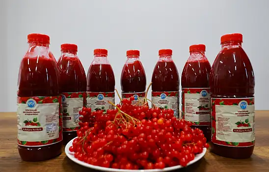 Gilaburu şerbeti patent yolunda