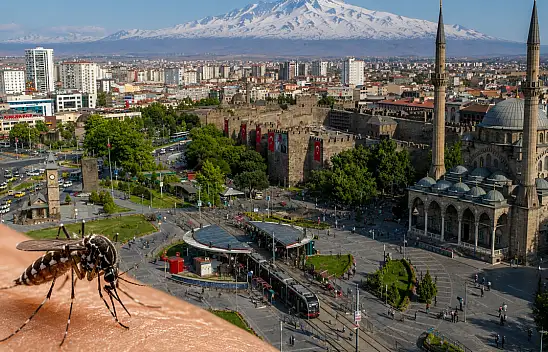 Harita yayımlandı: Kayseri'de dikkat çeken sivrisinek riski