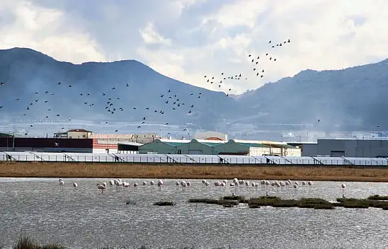 Hemen yanı başımızda! Mutlaka görmelisiniz