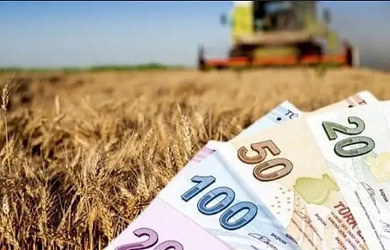 Hesaplarınızı kontrol edin! Destek ödemeleri başladı