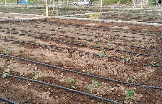 Hobi 'dolandırıcıları' iş başında! Dikkat çeken uyarı: Şikayetler geliyor! Bunu yapanlar kim?