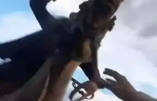 Hürmetçi Sazlığı olayı mahkemeye taşındı