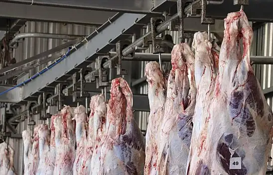 İç Anadolu'da et kesim fiyatlarında son durum!