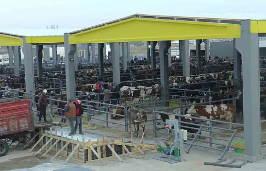 İç Anadolu'nun en büyüğü! Yoğun ilgi görüyor