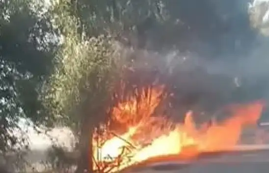 İlçede panik anları! Anız yangını ağaçlara sıçradı