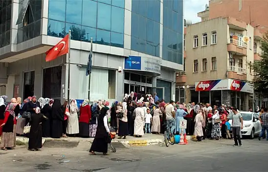 İŞKUR'dan büyük fırsat: 561 kişi alınacak