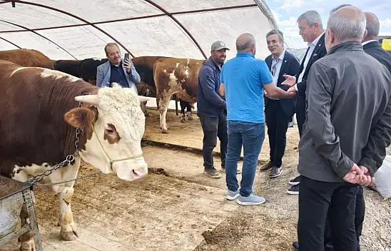 İYİ Partili Yücel hayvan pazarında konuştu: 'Esnafın derdi büyük'