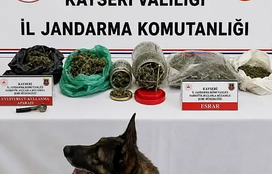 Jandarma ihbar üzerine harekete geçti: Ele geçirenler dikkat çekti
