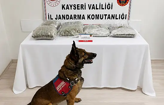 Kayseri'de gece saatlerinde hareketlilik! Şüpheli araçtan ne çıktı?