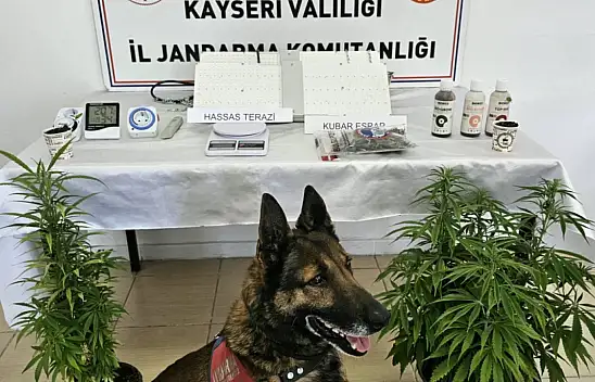Jandarmadan operasyon! Evde uyuşturucu serası kurmuşlar
