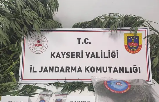 Jandarmadan operasyon: Kenevir ve esrar ele geçirildi