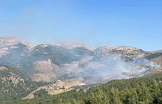 Kahramanmaraş'ta orman yangını