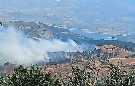 Kahramanmaraş'ta orman yangını