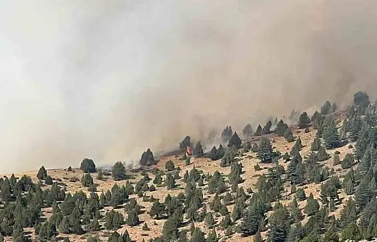 Kahramanmaraş'taki orman yangınına müdahale sürüyor