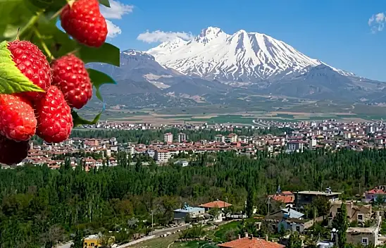 Kalp sağlığına birebir meyve Develi'de yetişiyor!
