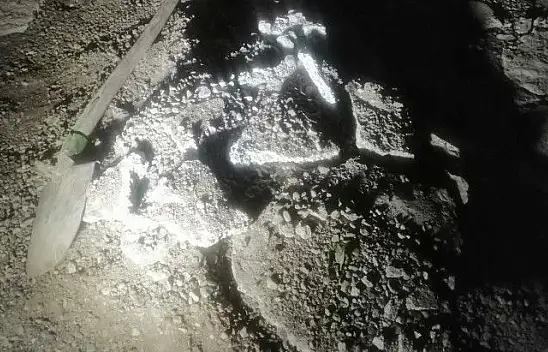 Vahşi cinayet ortaya çıktı