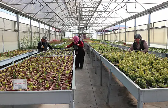 Kayseri'de 1 milyon 200 bin üretildi! Bakın nerede kullanılacak