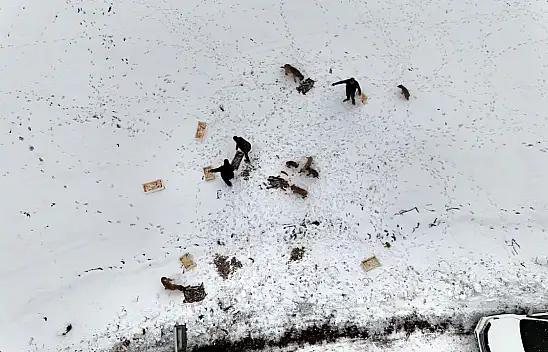 Kayseri'de 12 ton balık bakın ne yapıldı?