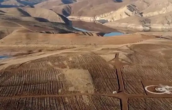 Kayseri'de 3 yılda sayıları 4 milyona ulaştı!