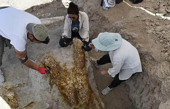 Kayseri'de 7,7 milyon yıllık kafatasları bulundu