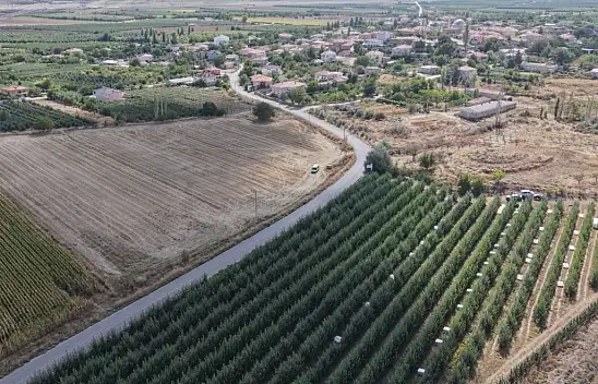 Kayseri'de 8 çeşidi üretiliyor! Hasadı başladı