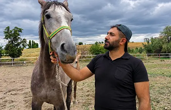 Kayseri'de atlarla geçen bir hayat: Ata bağlanan vazgeçemiyor