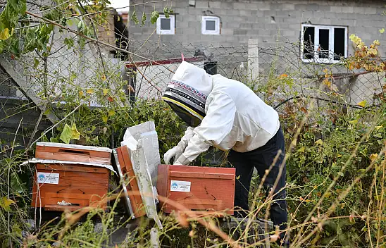 Kayseri'de bal üreticilerinin yüzü gülüyor
