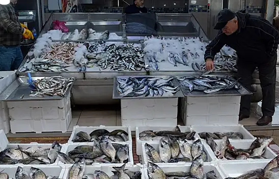 Kayseri'de balık tezgâhlarında son durum! 200 TL'den başlıyor