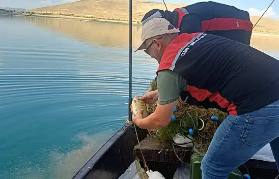 Kayseri'de barajda hareketlilik! Ağlar tek tek toplandı