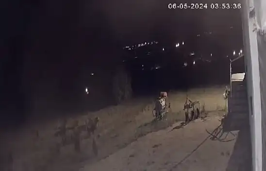 Kayseri'de bir anda sürüyle ortaya çıktılar, acil önlem çağrısı! Vatandaş o anları kaydetti