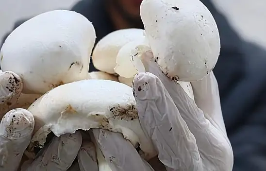 Kayseri'de bir ilk: Sarız'da hayata geçti