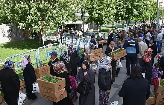 Kayseri'de bir kez daha ücretsiz domates fidesi dağıtılacak!