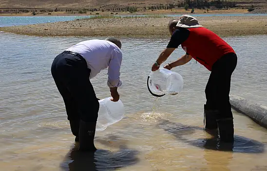 Kayseri'de bu adamlar suya ne döküyor?