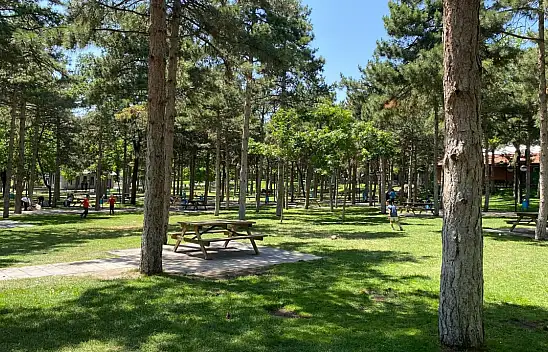 Kayseri'de bu yazın vazgeçilmezi hayvanat bahçesi, piknik alanları, gün batımı manzarasıyla orası olacak!