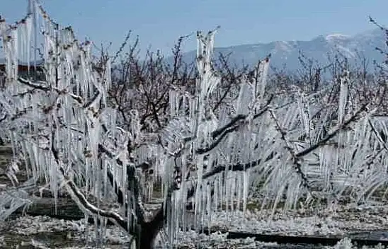 Kayseri'de bugün herkes ve her yer donacak