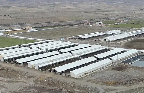 Kayseri'de bulunan o şirketle ilgili ortaya atılan iddia kafaları karıştırdı: Vurgun daha ne kadar devam edecekti?
