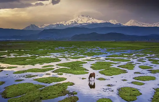 Kayseri'de çekilen bu fotoğraf dünyaya damgasını vurdu!