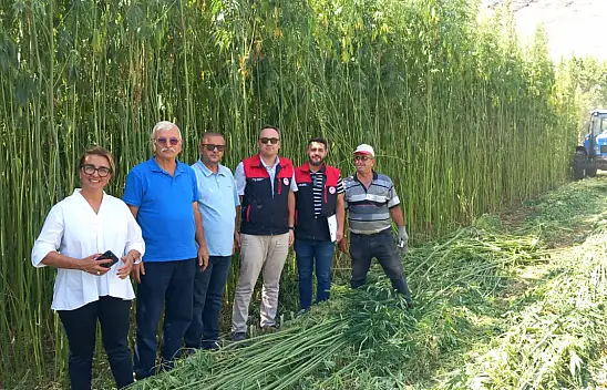 Kayseri'de çiftçinin yeni umudu: 4 ayda traktör boyunu geçti, hasada jandarma da eşlik etti!