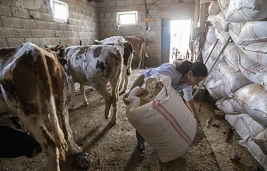 Kayseri'de çiftçiye müjde! Fiyatlar aşağı çekildi