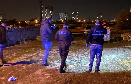 Kayseri'de çıkan kavgada kan aktı