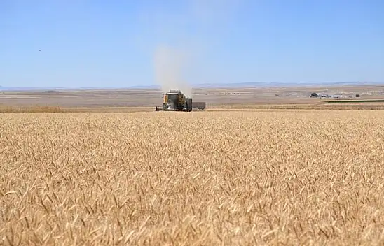 Kayseri'de de birçok kişinin beklediği alım fiyatları açıklandı