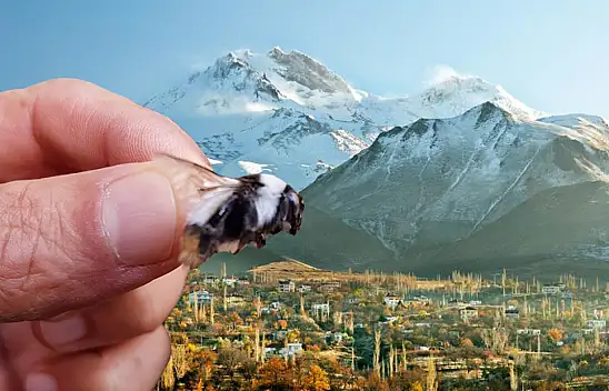 Kayseri'de değeri pek bilinmiyor ama Hollandalılar, Bombusların peşinden koşuyor