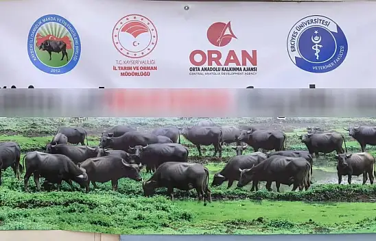 Kayseri'de dikkat çeken afiş! Gören bir daha baktı!
