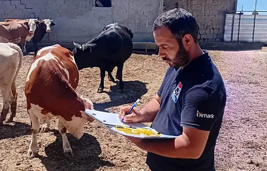 Kayseri'de dikkat çeken artış! Sayı 125 bine ulaştı